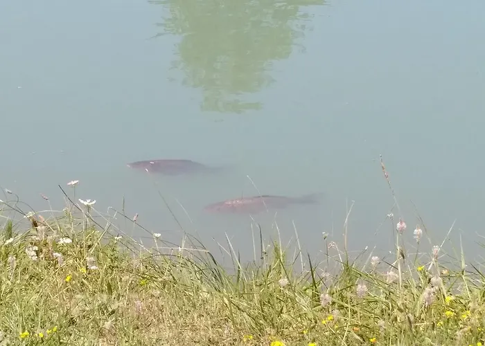 Camping Du Villard Thorame-Basse