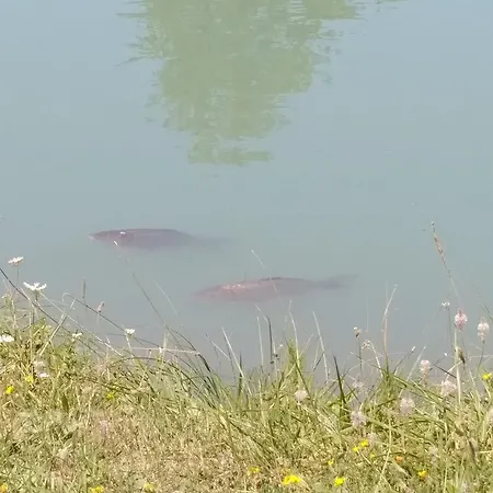 Kemping Du Villard Thorame-Basse